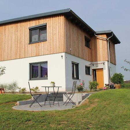 Ferienwohnungen "Blumenwiese" Dillingen an der Donau Esterno foto