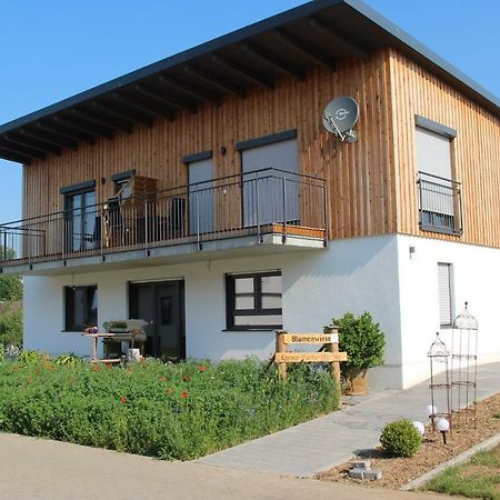 Ferienwohnungen "Blumenwiese" Dillingen an der Donau Esterno foto
